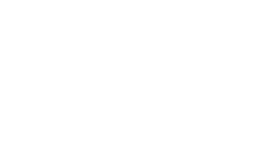 Mall El Fortín